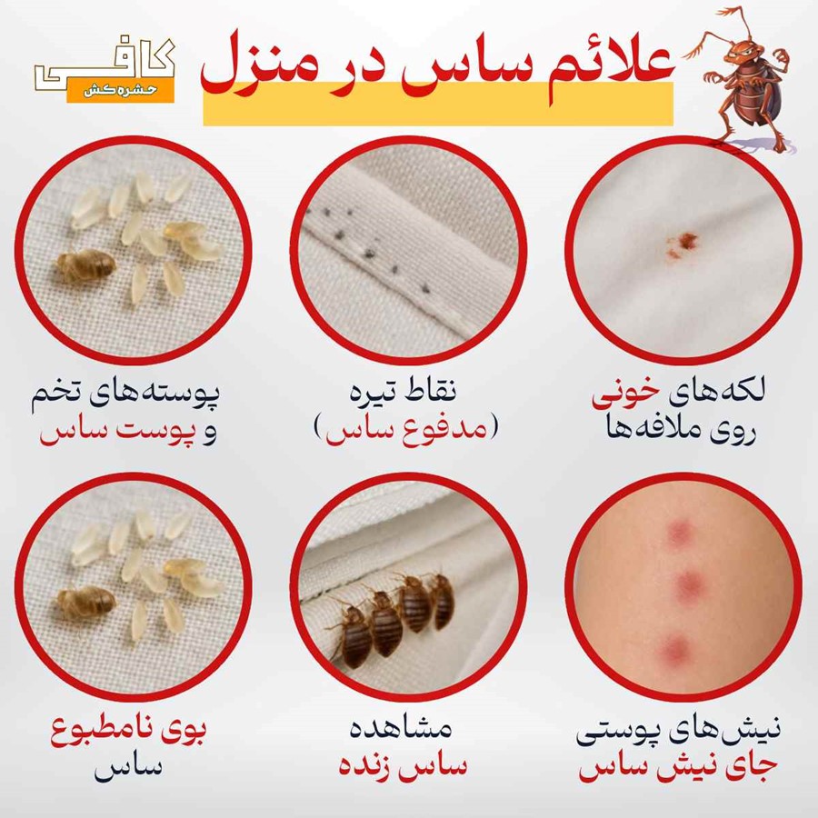 علائم ساس در منزل